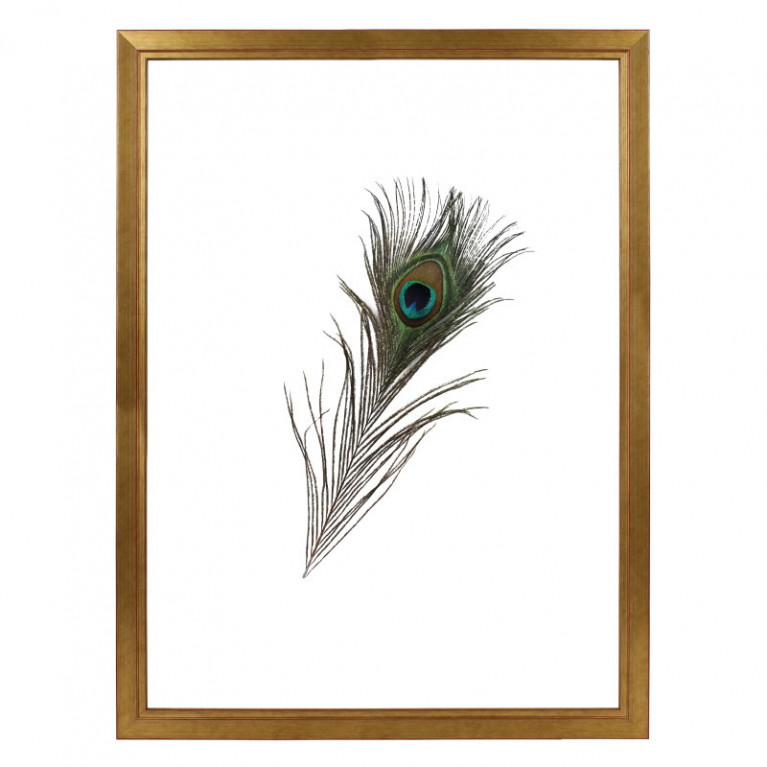 Fotolijst Transparant Goud 40x60 cm