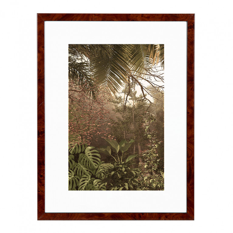 Wissellijst Wortelnoten 13x18 cm - Art Print en Passe Partout