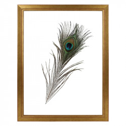 Fotolijst Transparant Goud 30x40 cm
