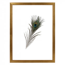 Fotolijst Transparant Goud 40x60 cm