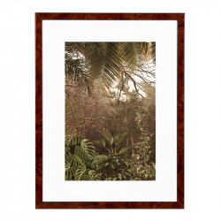 Wissellijst Wortelnoten 18x24 cm - Art Print en Passe Partout