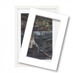 Wissellijst met passe partout 70x100cm hout wit 