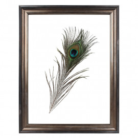 Fotolijst Transparant Barok 30x40 cm