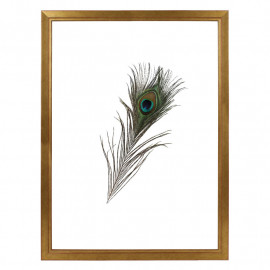 Fotolijst Transparant Goud 40x60 cm