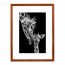 Wissellijst Kersen 40x60 cm - Art Print en Passe Partout