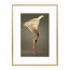 Wissellijst Champagne 18x24 cm - Art Print en Passe Partout
