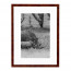 Wissellijst Wortelnoten 13x18 cm - Art Print en Passe Partout