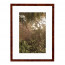 Wissellijst Wortelnoten 18x24 cm - Art Print en Passe Partout