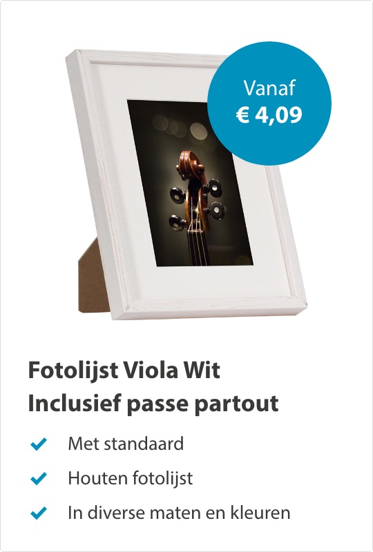 Viola Wit
