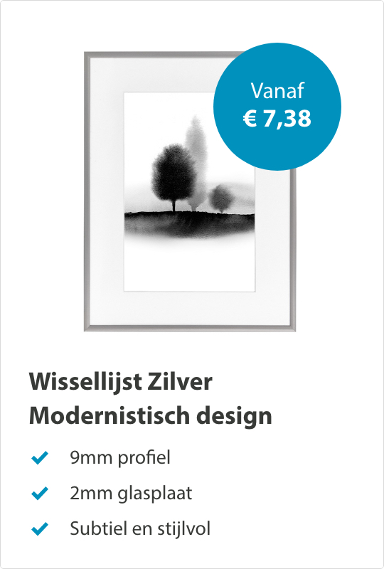 Wissellijsten Zilver